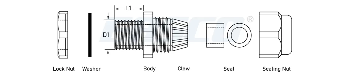 Technical Drawing of M/ML Cable Glands