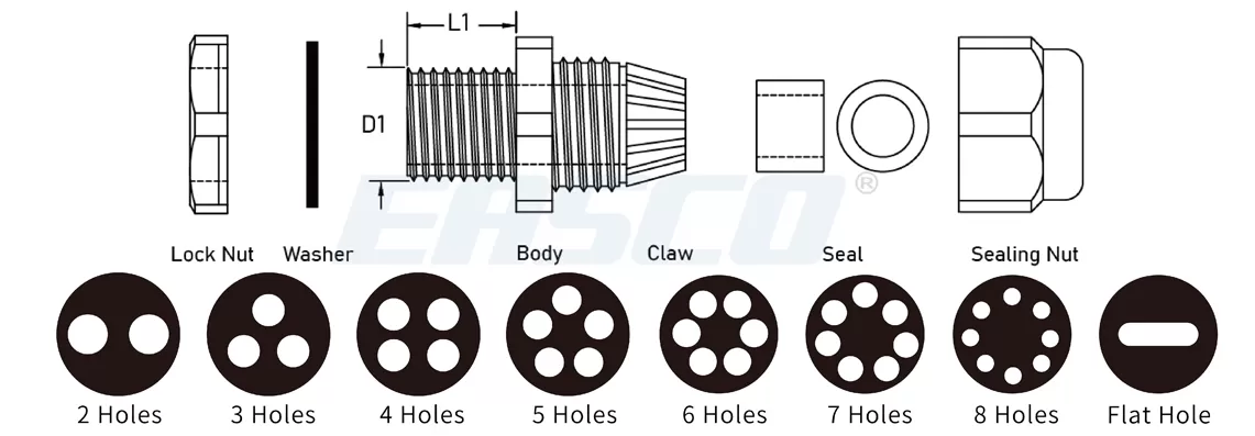 Technical Drawing of Multi-Hole Cable Glands